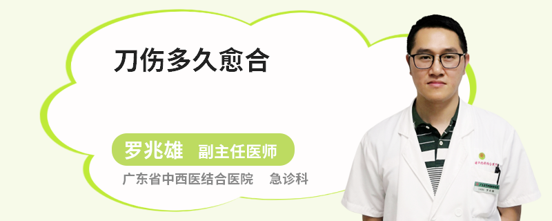 刀伤多久愈合