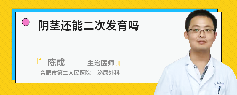 阴茎还能二次发育吗