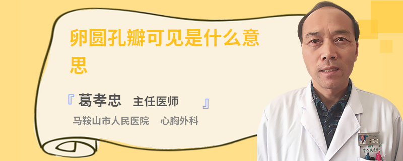 卵圆孔瓣可见是什么意思