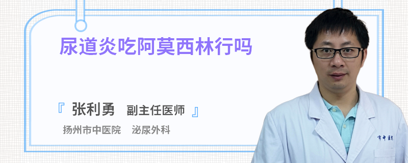 尿道炎吃阿莫西林行吗