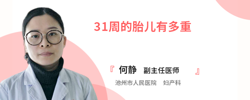 31周的胎儿有多重