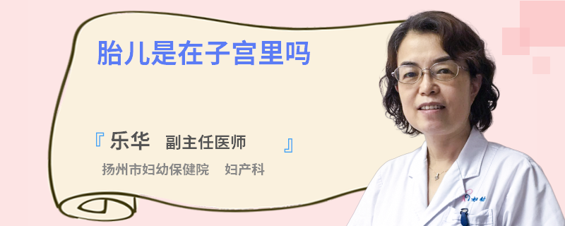 胎儿是在子宫里吗