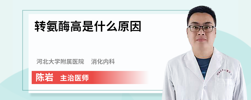 转氨酶高是什么原因