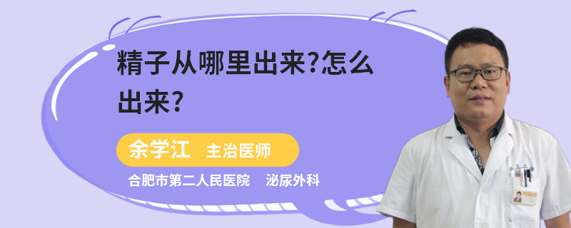 精子从哪里出来?怎么出来?