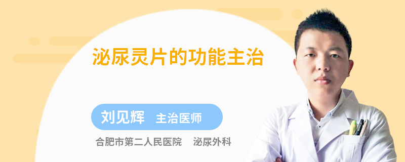 泌尿灵片的功能主治