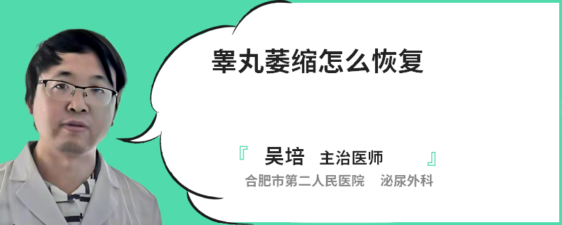 睾丸萎缩怎么恢复
