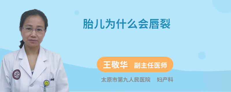 胎儿为什么会唇裂