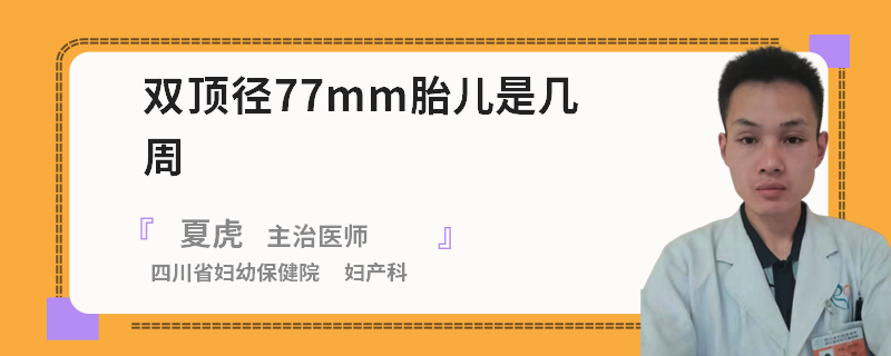 双顶径77mm胎儿是几周