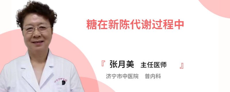 糖在新陈代谢过程中
