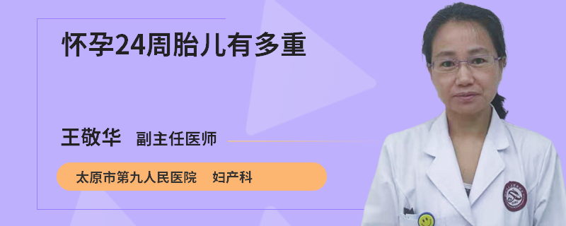 怀孕24周胎儿有多重