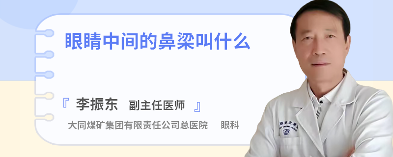 眼睛中间的鼻梁叫什么