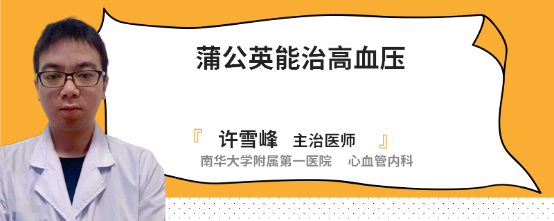 蒲公英能治高血压