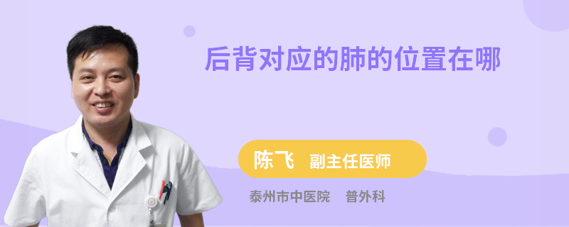 后背对应的肺的位置在哪