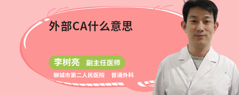 外部CA什么意思