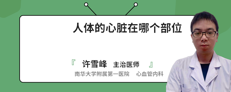 人体的心脏在哪个部位