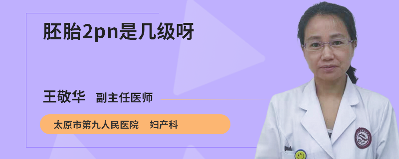 胚胎2pn是几级呀
