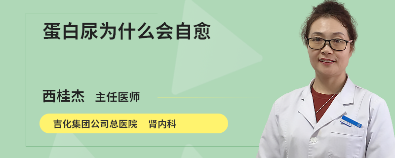 蛋白尿为什么会自愈