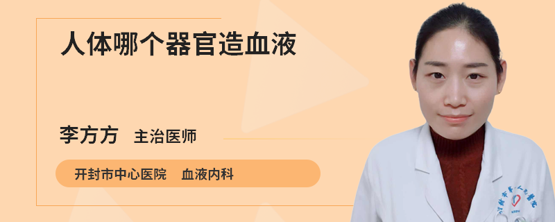人体哪个器官造血液