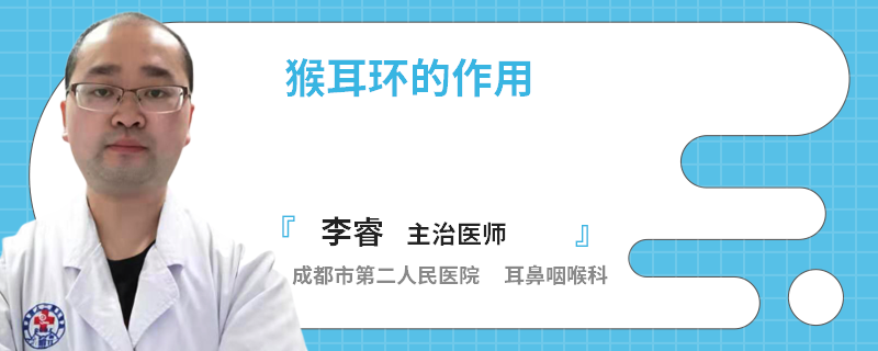 猴耳环的作用