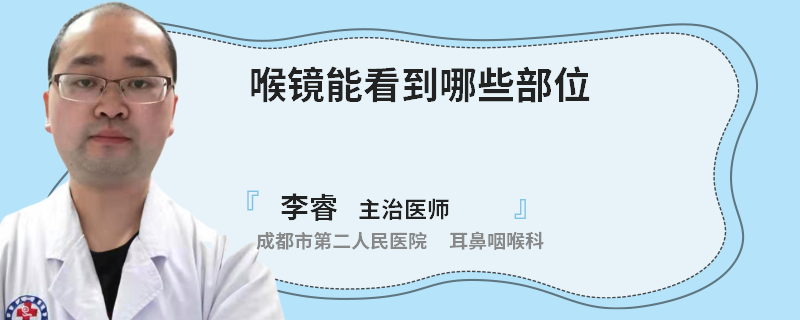 喉镜能看到哪些部位