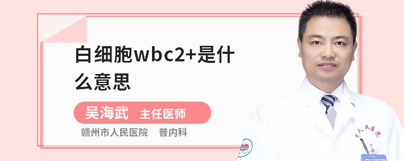 白细胞wbc2+是什么意思