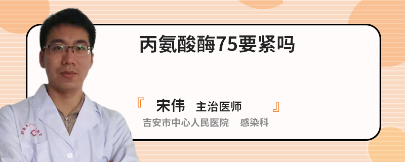 丙氨酸酶75要紧吗