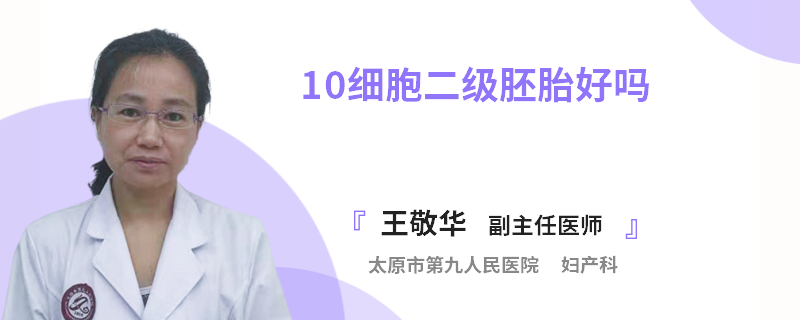 10细胞二级胚胎好吗