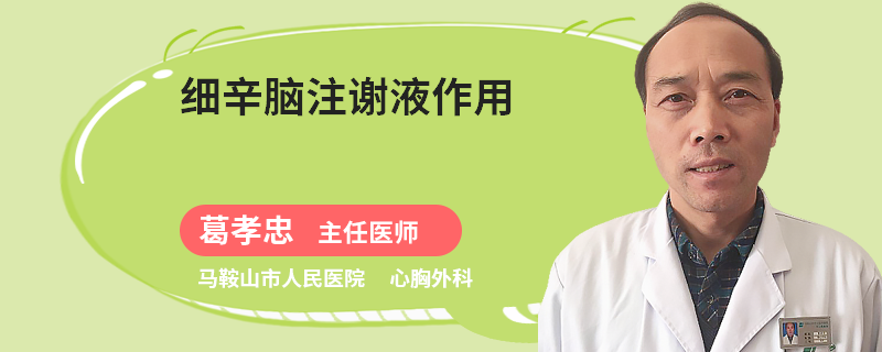 细辛脑注谢液作用