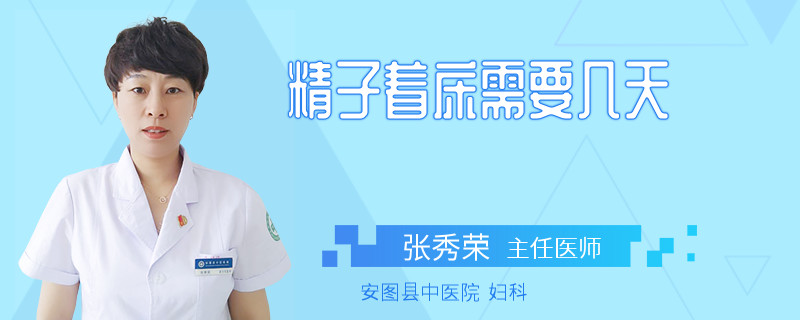 精子着床需要几天