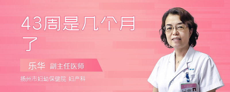 43周是几个月了