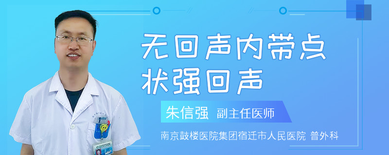 无回声内带点状强回声