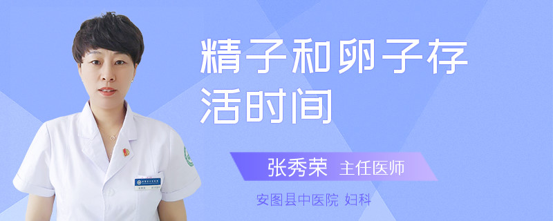 精子和卵子存活时间