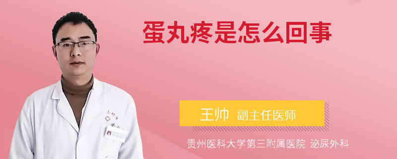 蛋丸疼是怎么回事