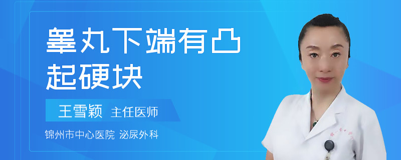 睾丸下端有凸起硬块