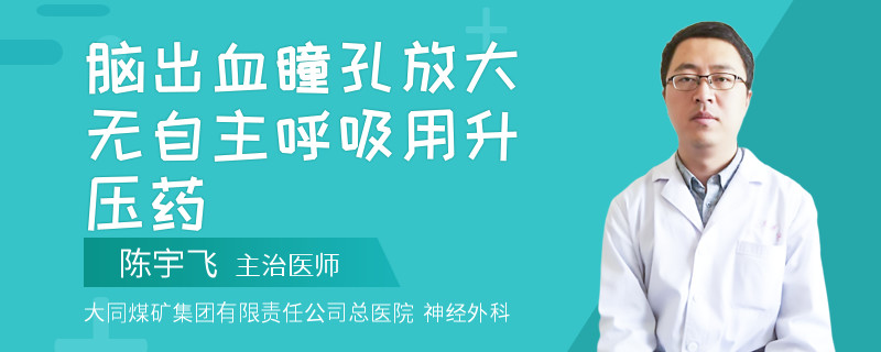 脑出血瞳孔放大无自主呼吸用升压药