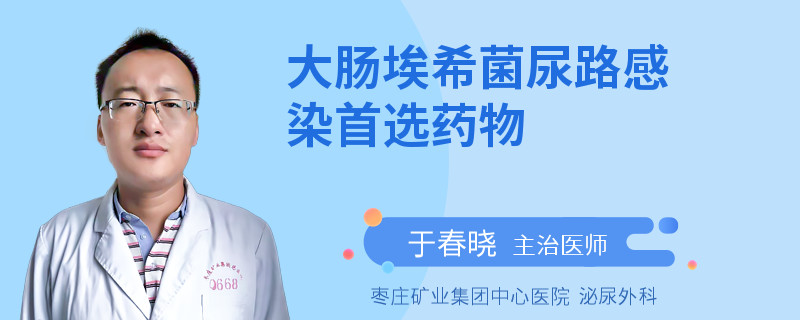 大肠埃希菌尿路感染首选药物