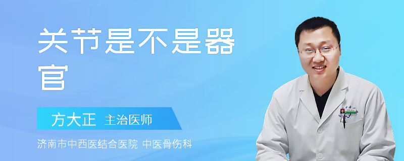 关节是不是器官