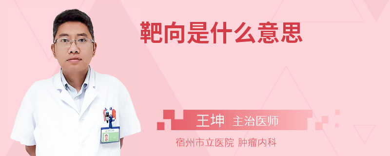 靶向是什么意思