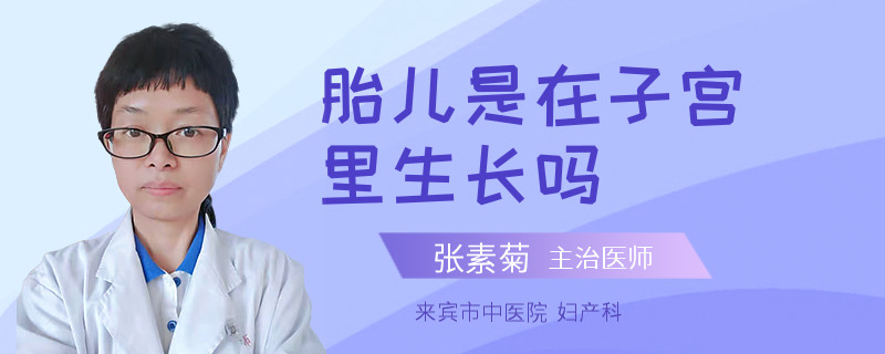 胎儿是在子宫里生长吗