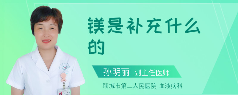 镁是补充什么的