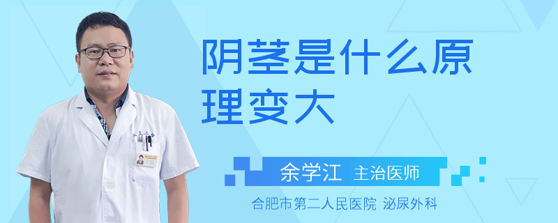 阴茎是什么原理变大