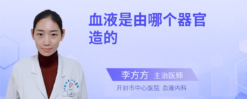 血液是由哪个器官造的