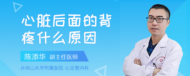 心脏后面的背疼什么原因
