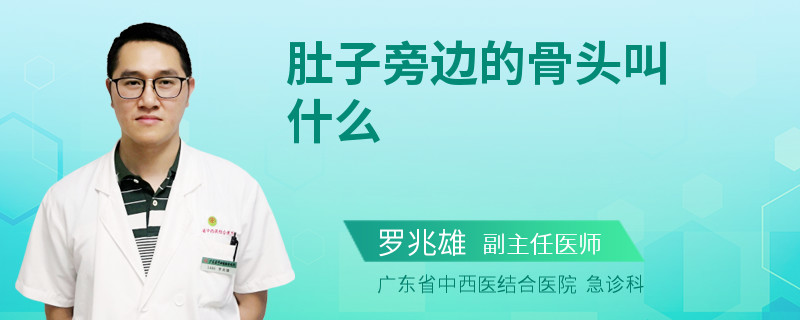 肚子旁边的骨头叫什么