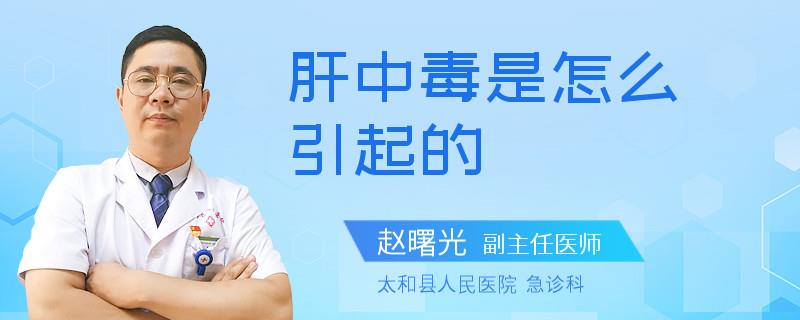 肝中毒是怎么引起的