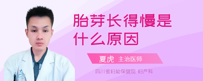 胎芽长得慢是什么原因