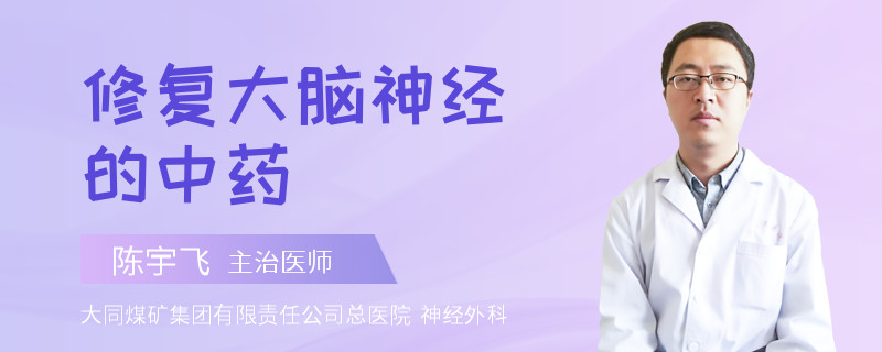 修复大脑神经的中药