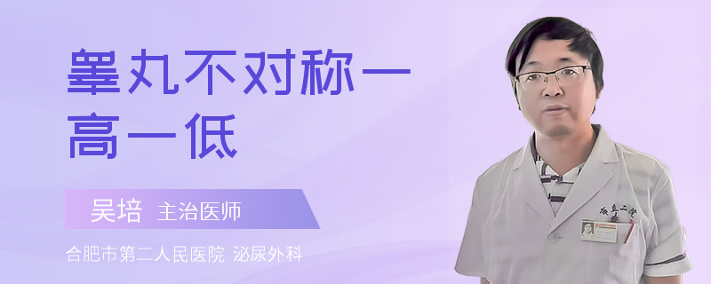 睾丸不对称一高一低