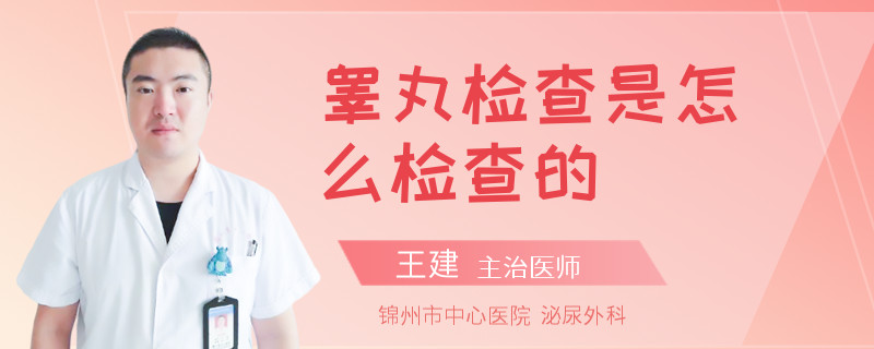 睾丸检查是怎么检查的