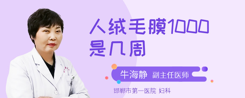人绒毛膜1000是几周